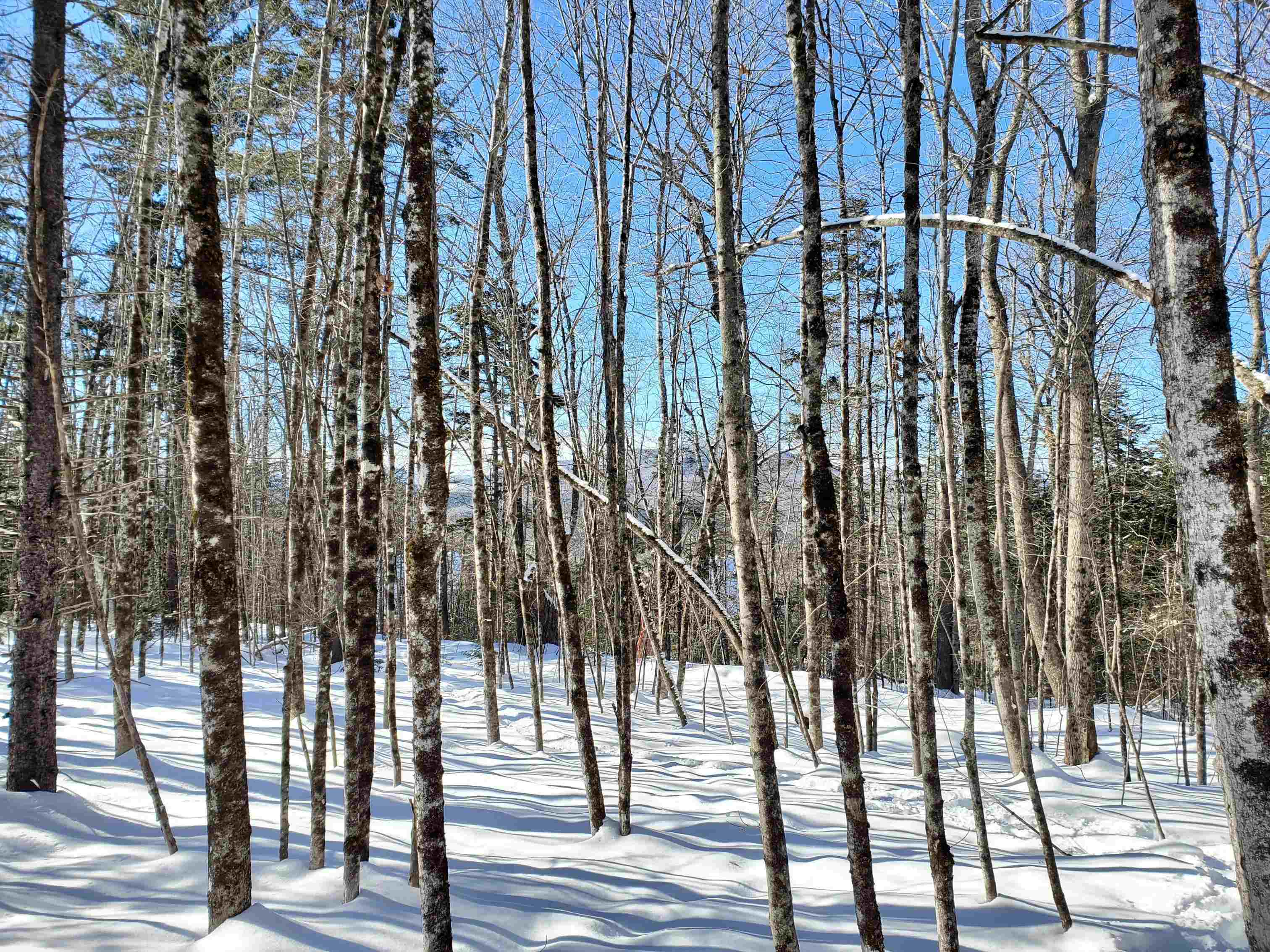 0 Tin Mine Road, Unit V082503 Jackson, NH 03846 - Photo 33 of 38