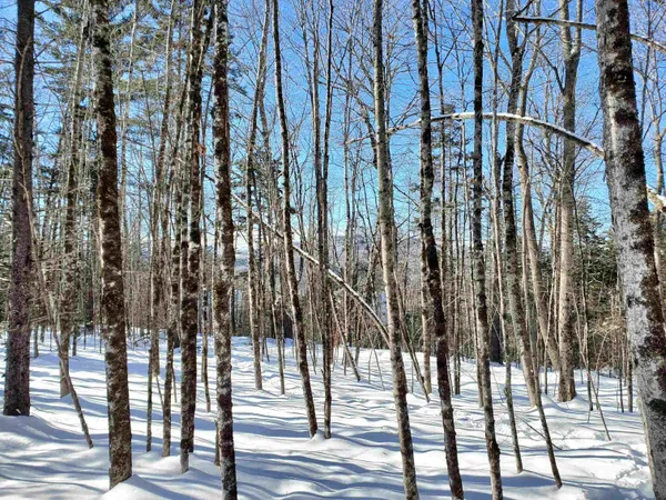 $249,900 | 0 Tin Mine Road, Unit V082503, Jackson, NH 03846