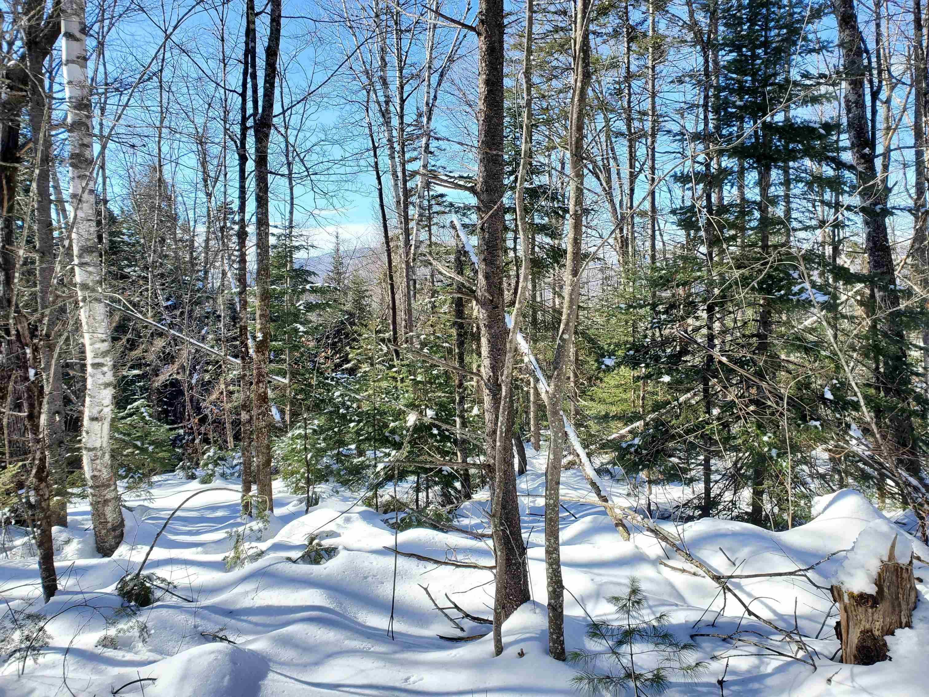 0 Tin Mine Road, Unit V082503 Jackson, NH 03846 - Photo 36 of 38