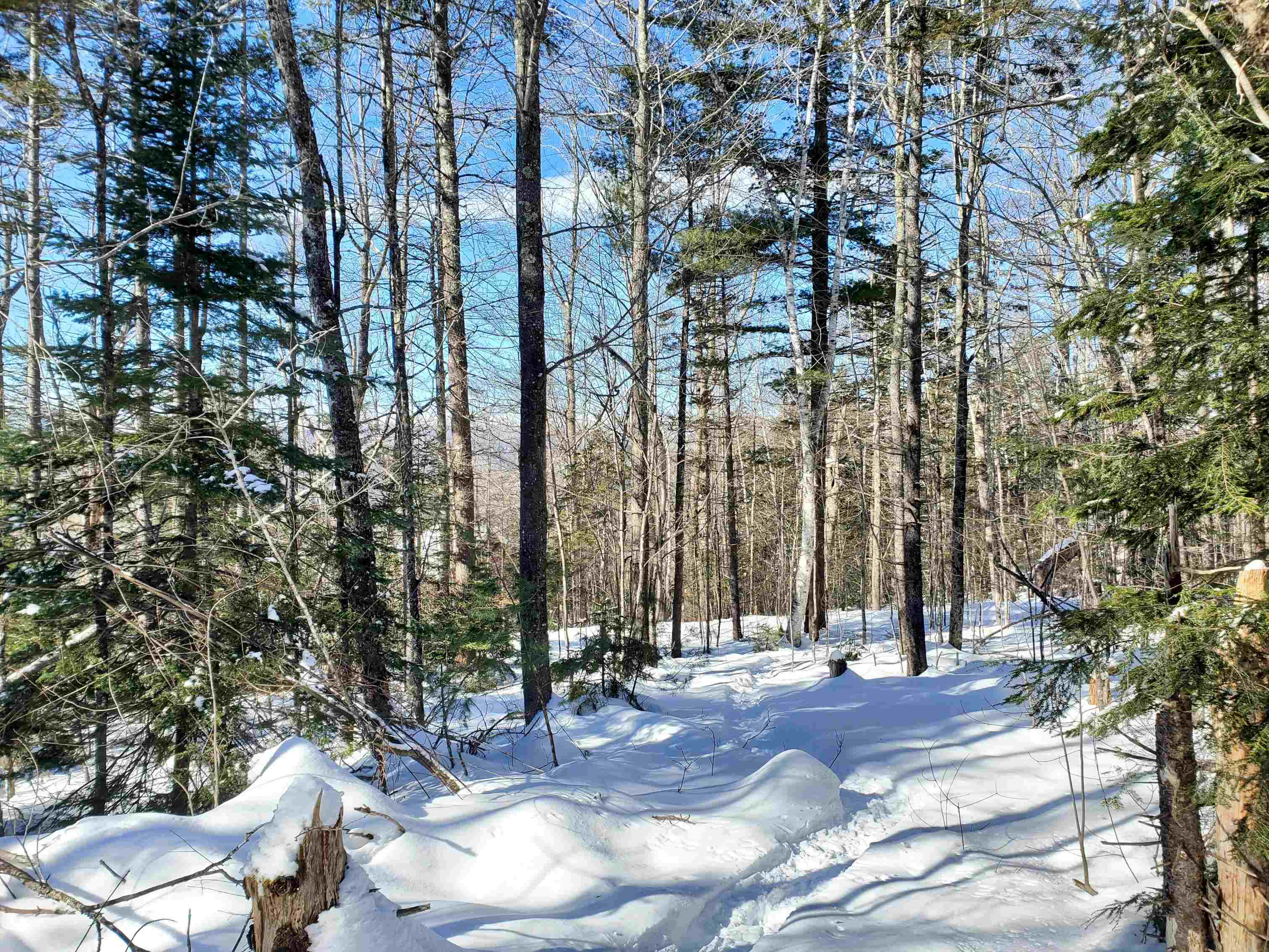 0 Tin Mine Road, Unit V082503 Jackson, NH 03846 - Photo 37 of 38