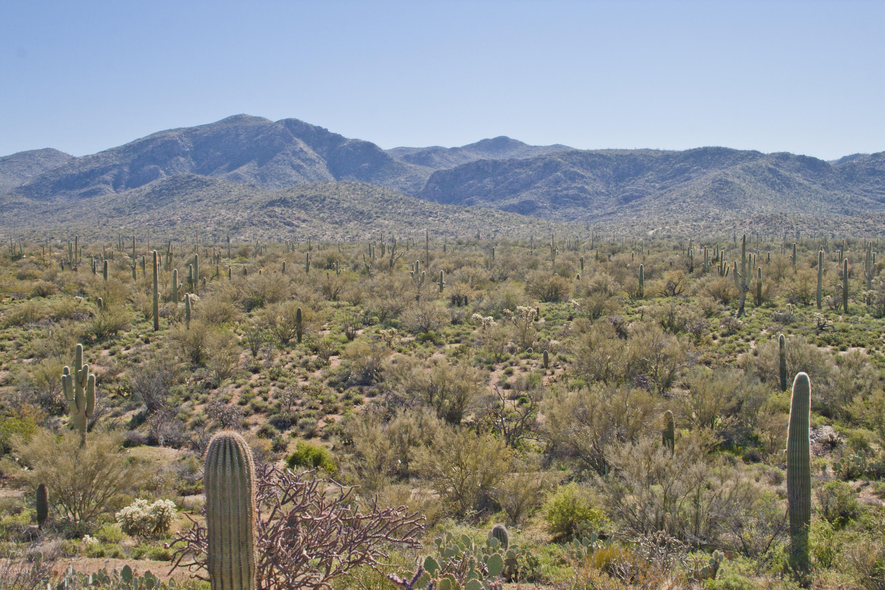 0 South Eastview Road Marana, AZ 85658 - Photo 3 of 32 Gallery Image 3