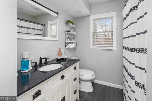 a bathroom with a sink a toilet and a shower curtain