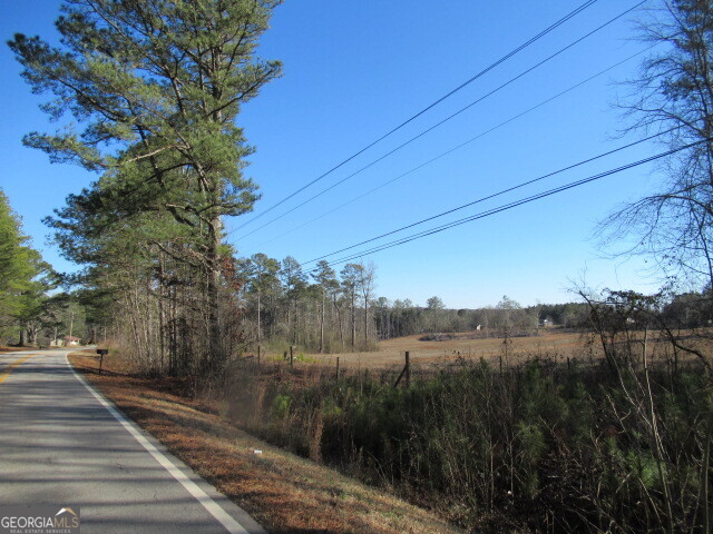 391 Hog Liver Road Carrollton, GA 30117 - Photo 12 of 13 a view of a yard