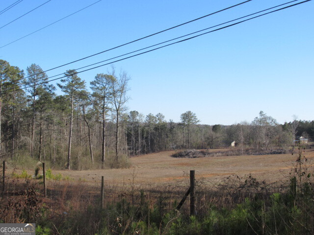391 Hog Liver Road Carrollton, GA 30117 - Photo 13 of 13 a view of a backyard