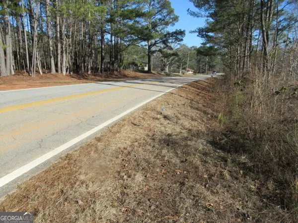 a view of a yard with trees