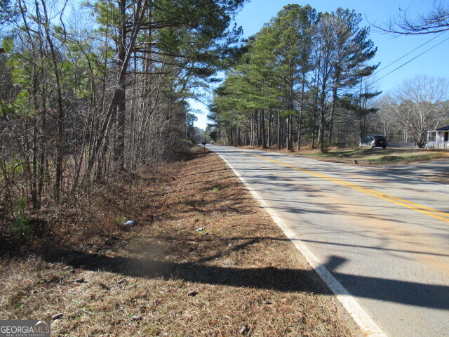 391 Hog Liver Road Carrollton, GA 30117 - Photo 5 of 13 a view of a yard with trees