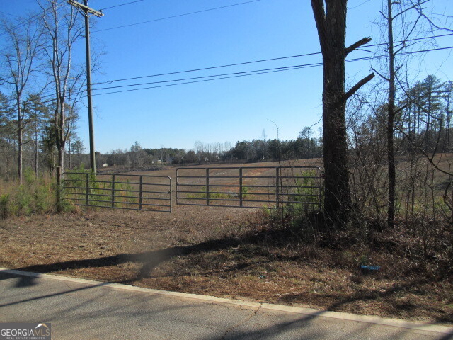 391 Hog Liver Road Carrollton, GA 30117 - Photo 9 of 13 a view of a road with a yard