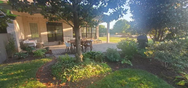a view of a yard with plants and large trees