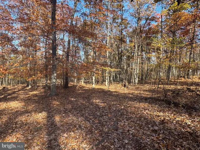 $575,000 | Tract 1-38.37± Acres Tract 1-38.37± Acres Old Harrisburg Road, York Springs, PA 17372