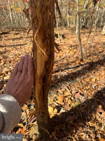 $575,000 | Tract 1-38.37± Acres Tract 1-38.37± Acres Old Harrisburg Road, York Springs, PA 17372