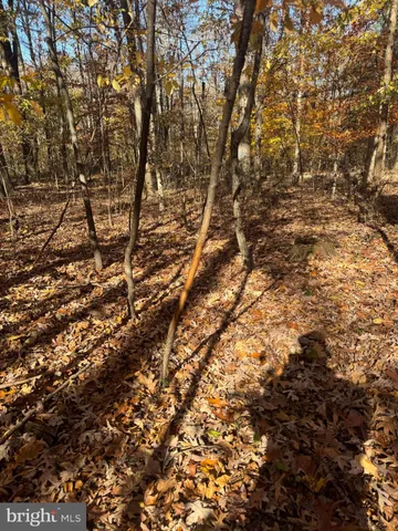 $575,000 | Tract 1-38.37± Acres Tract 1-38.37± Acres Old Harrisburg Road, York Springs, PA 17372