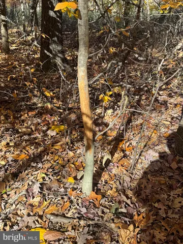 $575,000 | Tract 1-38.37± Acres Tract 1-38.37± Acres Old Harrisburg Road, York Springs, PA 17372