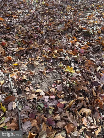 $575,000 | Tract 1-38.37± Acres Tract 1-38.37± Acres Old Harrisburg Road, York Springs, PA 17372