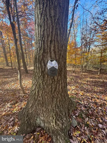 $575,000 | Tract 1-38.37± Acres Tract 1-38.37± Acres Old Harrisburg Road, York Springs, PA 17372