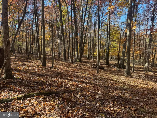 $575,000 | Tract 1-38.37± Acres Tract 1-38.37± Acres Old Harrisburg Road, York Springs, PA 17372