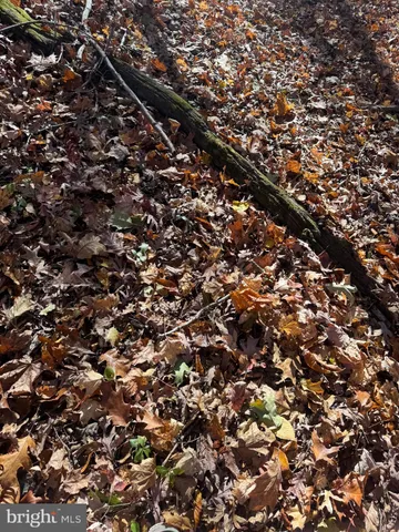 $575,000 | Tract 1-38.37± Acres Tract 1-38.37± Acres Old Harrisburg Road, York Springs, PA 17372