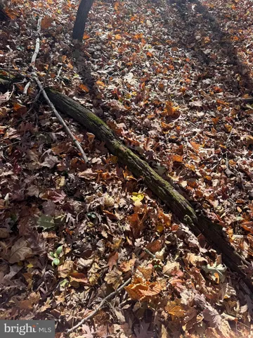 $575,000 | Tract 1-38.37± Acres Tract 1-38.37± Acres Old Harrisburg Road, York Springs, PA 17372