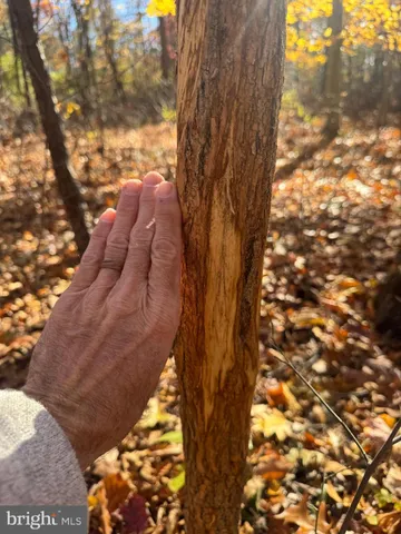 $575,000 | Tract 1-38.37± Acres Tract 1-38.37± Acres Old Harrisburg Road, York Springs, PA 17372