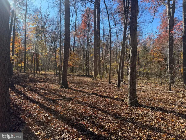 $575,000 | Tract 1-38.37± Acres Tract 1-38.37± Acres Old Harrisburg Road, York Springs, PA 17372