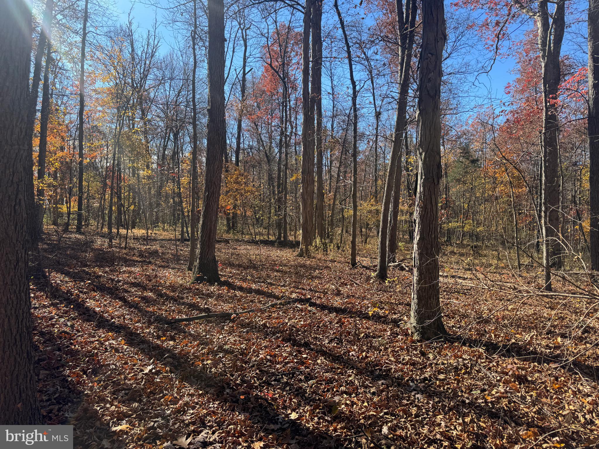 1 38.37 /- Acres Old Harrisburg Road York Springs, PA 17372 - Photo 25 of 29 a view of outdoor space with green space