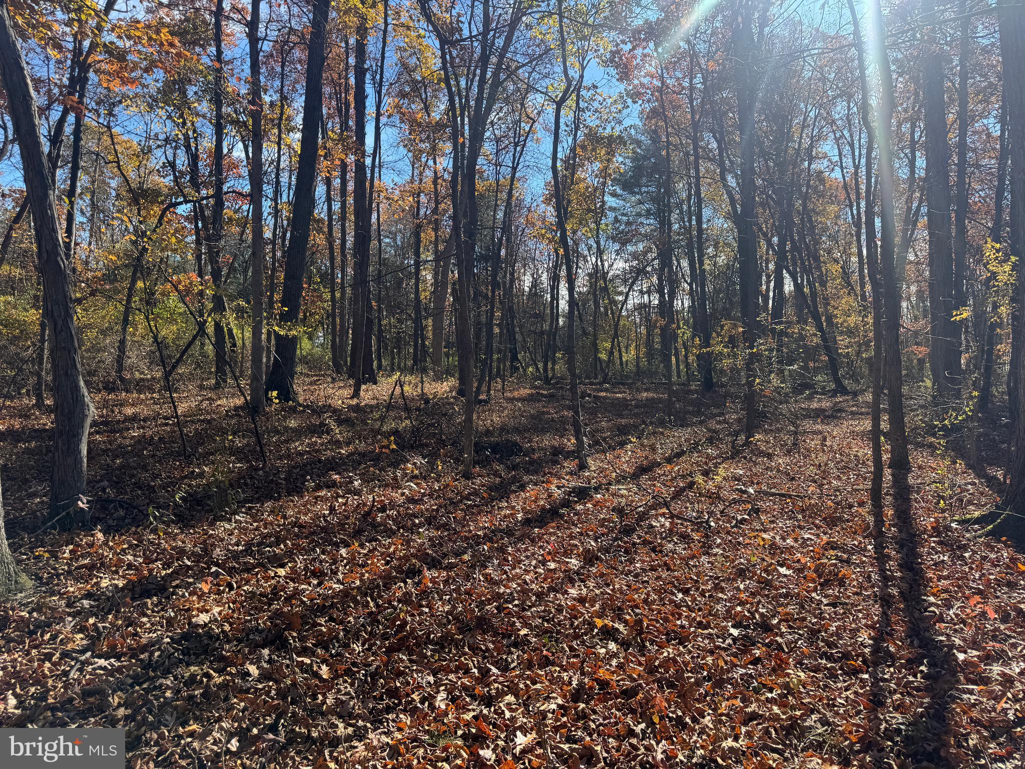1 38.37 /- Acres Old Harrisburg Road York Springs, PA 17372 - Photo 26 of 29 a view of outdoor space with lots of trees