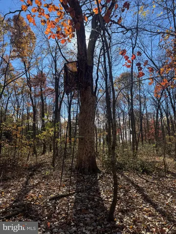 $575,000 | Tract 1-38.37± Acres Tract 1-38.37± Acres Old Harrisburg Road, York Springs, PA 17372