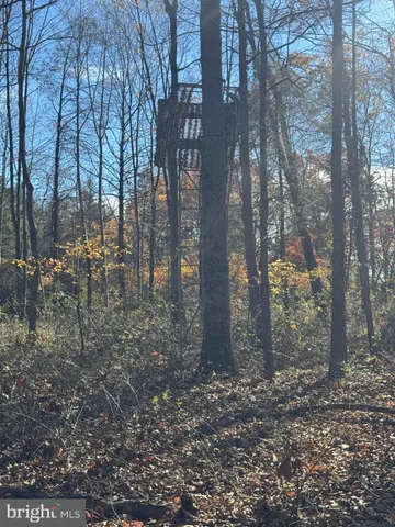 $575,000 | Tract 1-38.37± Acres Tract 1-38.37± Acres Old Harrisburg Road, York Springs, PA 17372