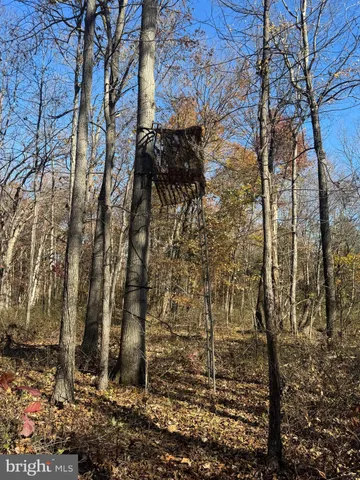 $575,000 | Tract 1-38.37± Acres Tract 1-38.37± Acres Old Harrisburg Road, York Springs, PA 17372