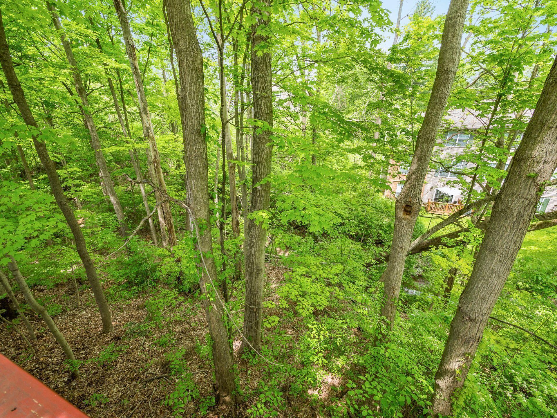 3046 Ravine Pointe Drive Columbus, OH 43231 - Photo 14 of 17 014__N 3046 Ravine Pointe 062
