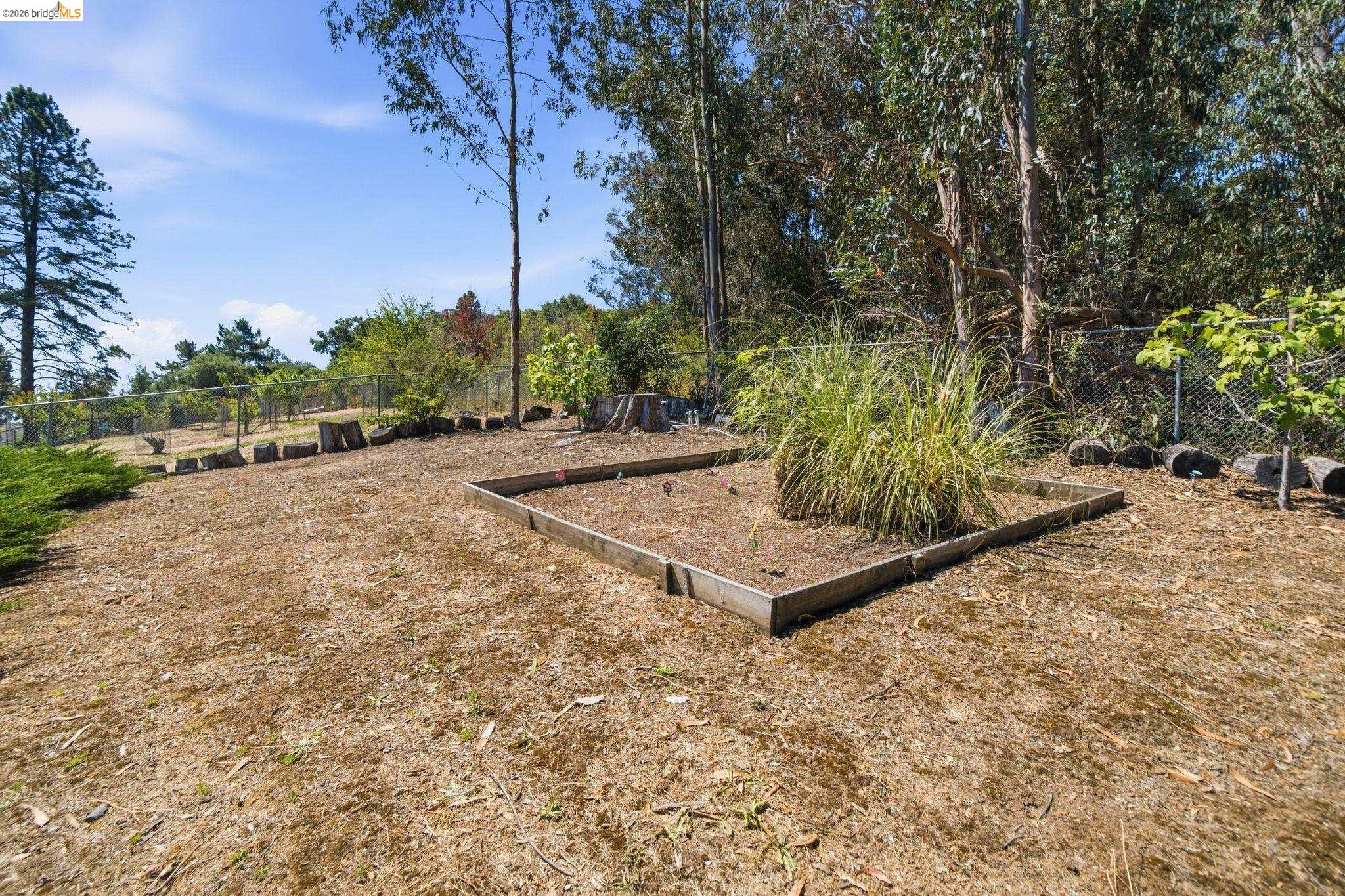 11133 Golf Links Road Oakland, CA 94605 - Photo 51 of 57 Expansive outdoor space featuring a raised garden bed, mature trees, and a chain-link fence
