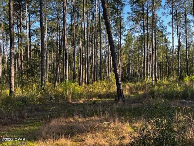0 Gaston Road Vernon, FL 32462 - Photo 6 of 14