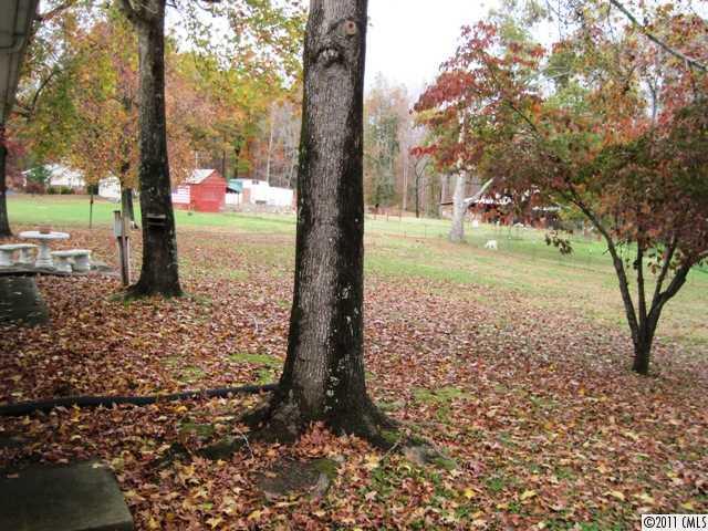 1410 Requa Road Cherryville, NC 28021 - Photo 14 of 16 a view of a yard with plants and trees