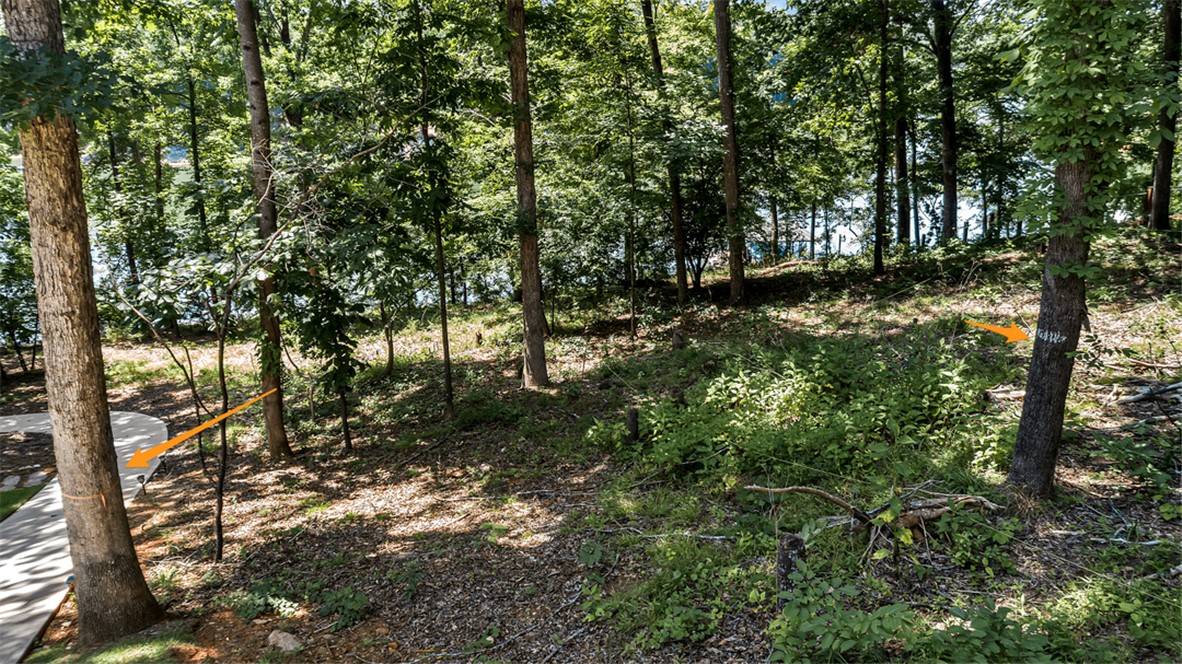 0 Coves End Point, Unit LOT 7 Seneca, SC 29678 - Photo 5 of 8