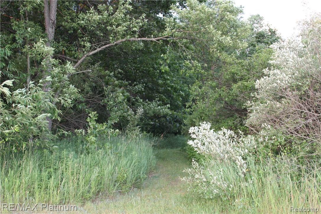 6691 Mabley Hill Road Fenton, MI 48430 - Photo 9 of 28 Hiking trail through rolling 4.2 acre property.
