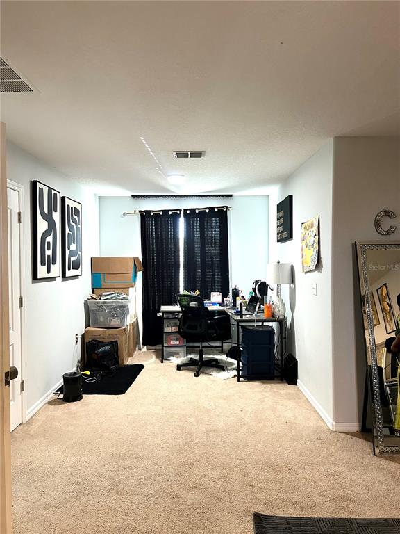 13809 Felix Will Road Riverview, FL 33579 - Photo 34 of 75