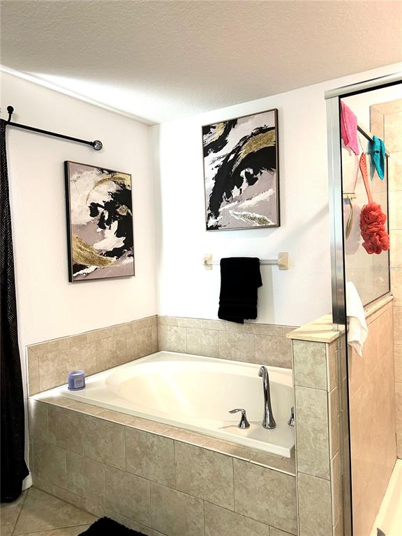 13809 Felix Will Road Riverview, FL 33579 - Photo 41 of 75 a bathroom with a bathtub and a shower