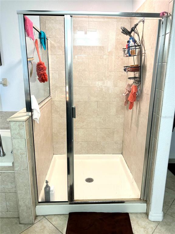 13809 Felix Will Road Riverview, FL 33579 - Photo 42 of 75 a bathroom with a shower