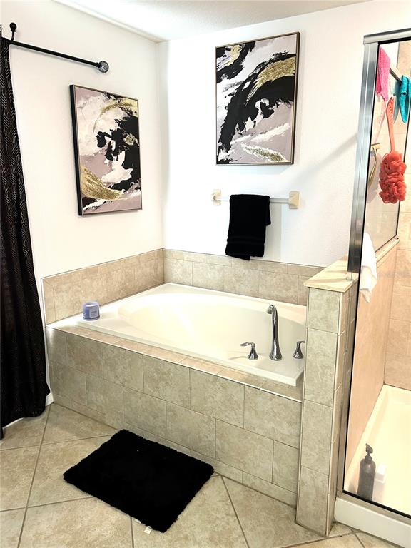 13809 Felix Will Road Riverview, FL 33579 - Photo 43 of 75 a bathroom with a bathtub and a picture of the wall
