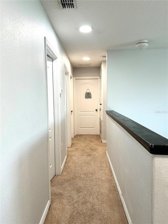13809 Felix Will Road Riverview, FL 33579 - Photo 46 of 75 a view of hallway