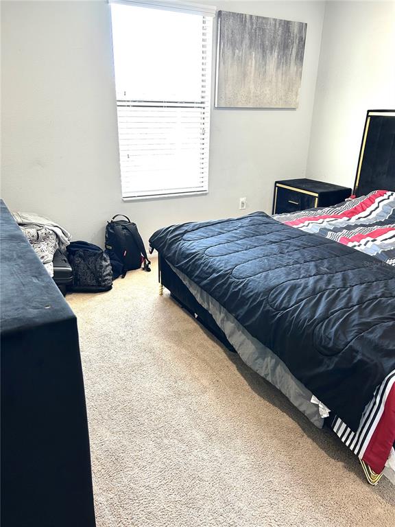 13809 Felix Will Road Riverview, FL 33579 - Photo 47 of 75 a bedroom with a bed and a window