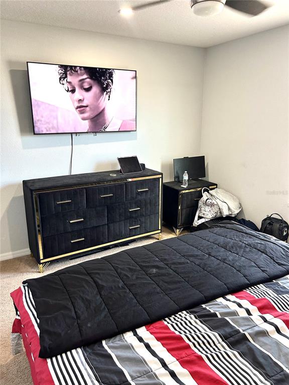 13809 Felix Will Road Riverview, FL 33579 - Photo 49 of 75 a bedroom with a bed and wall painting on the wall