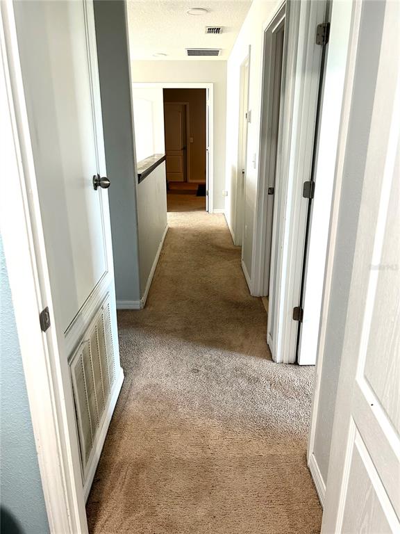 13809 Felix Will Road Riverview, FL 33579 - Photo 60 of 75