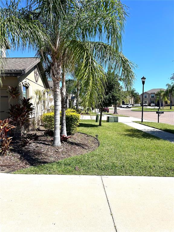 13809 Felix Will Road Riverview, FL 33579 - Photo 75 of 75 a black and white photo of a park