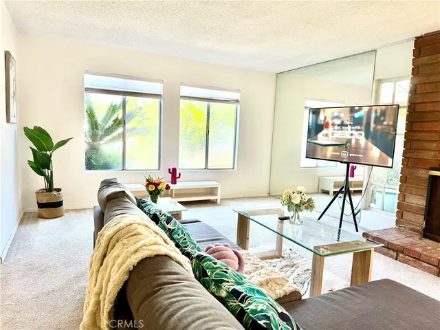 a living room with furniture windows and a potted plant