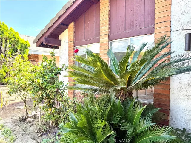 a close up of a plant in a garden