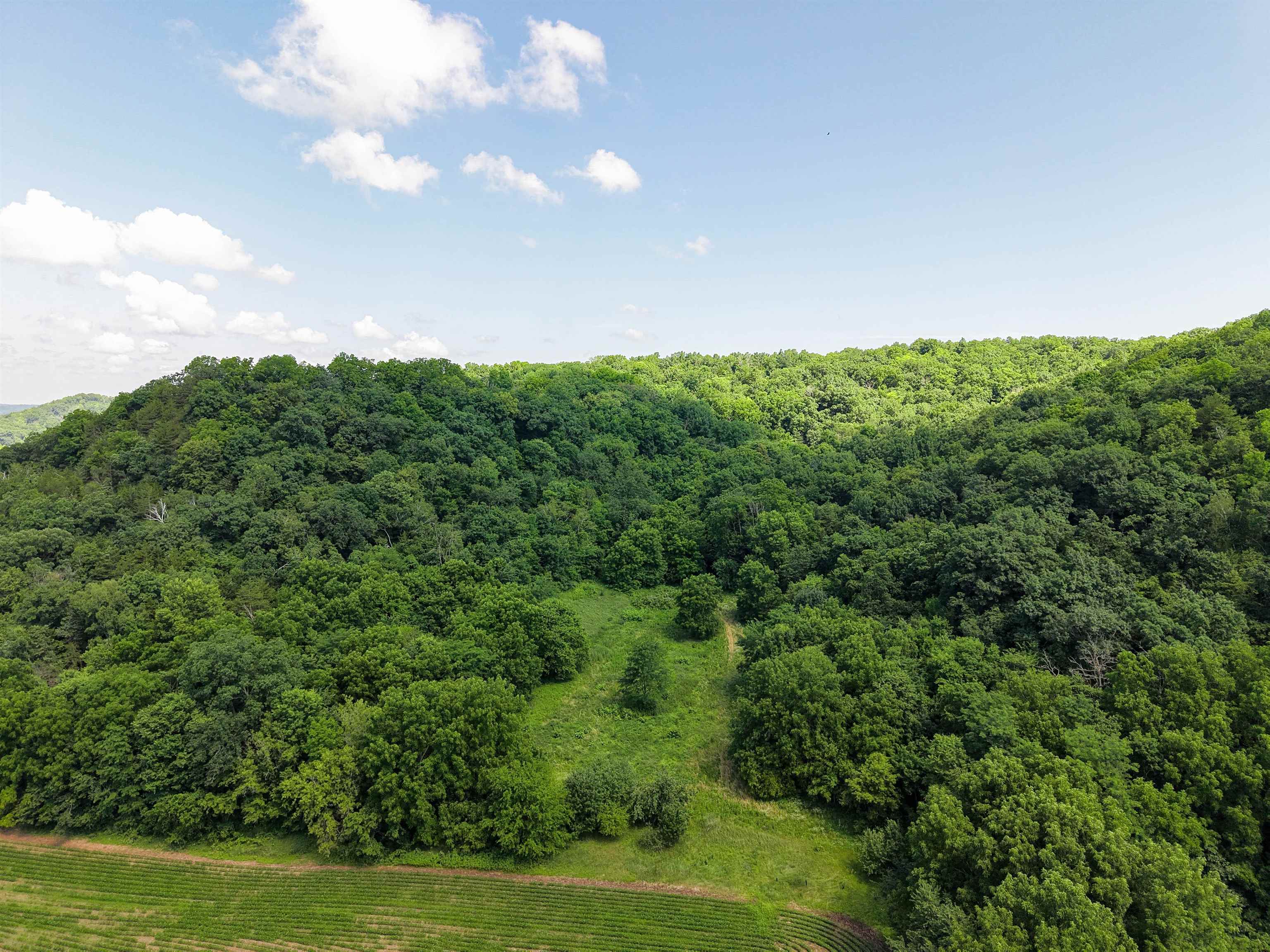 32747 State Highway Muscoda, WI 53573 - Photo 27 of 83