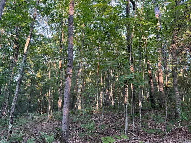 $29,900 | North Caribou Trail, Irons, MI 49644