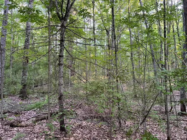 $29,900 | North Caribou Trail, Irons, MI 49644