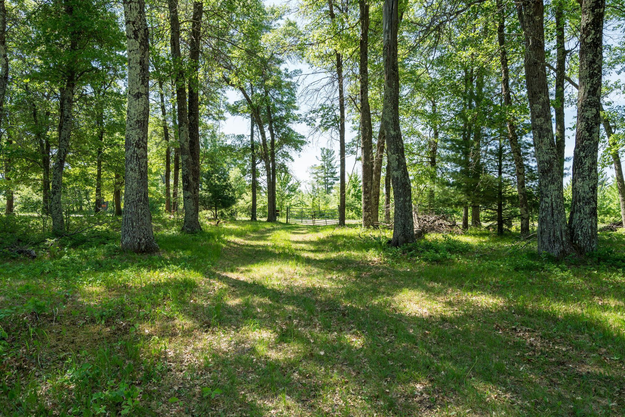 13884 Bloom Road Grantsburg, WI 54840 - Photo 2 of 25