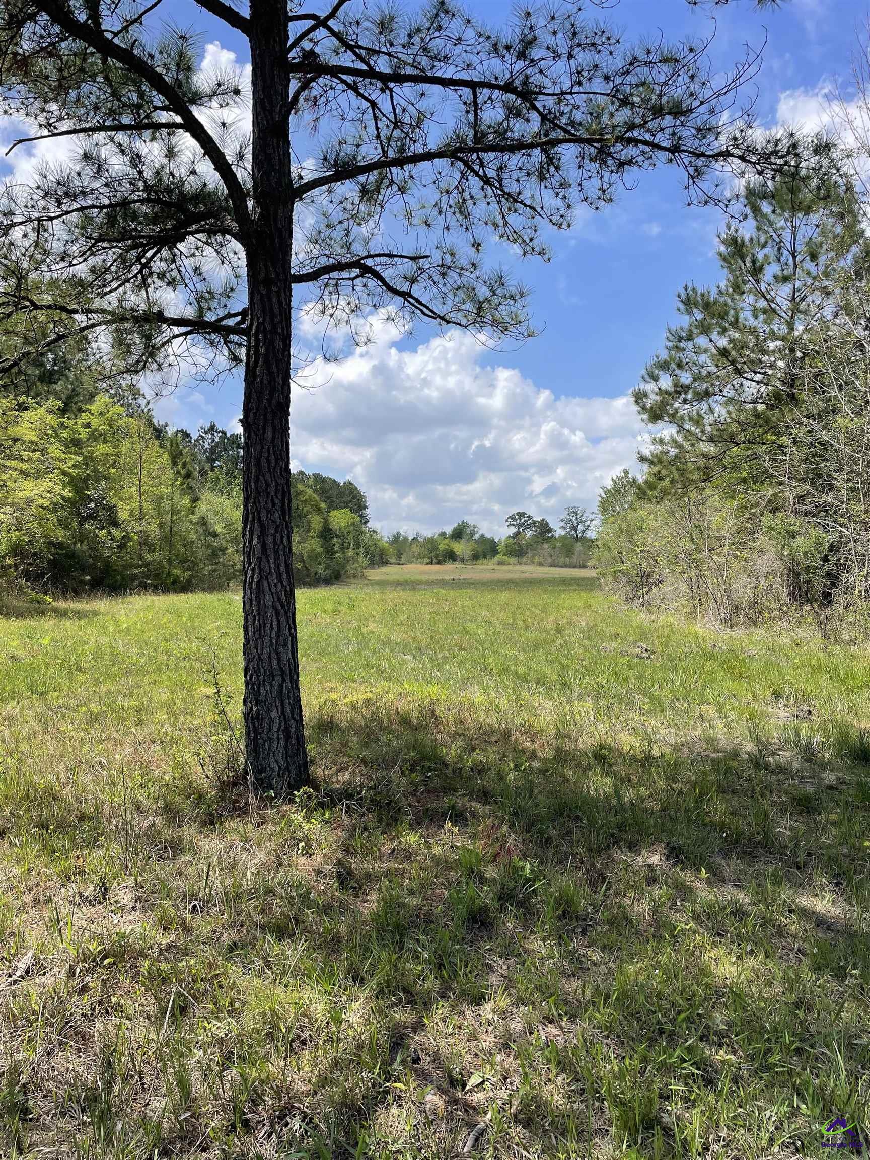 Bethel Church Road Eastman, GA 31023 - Photo 29 of 32